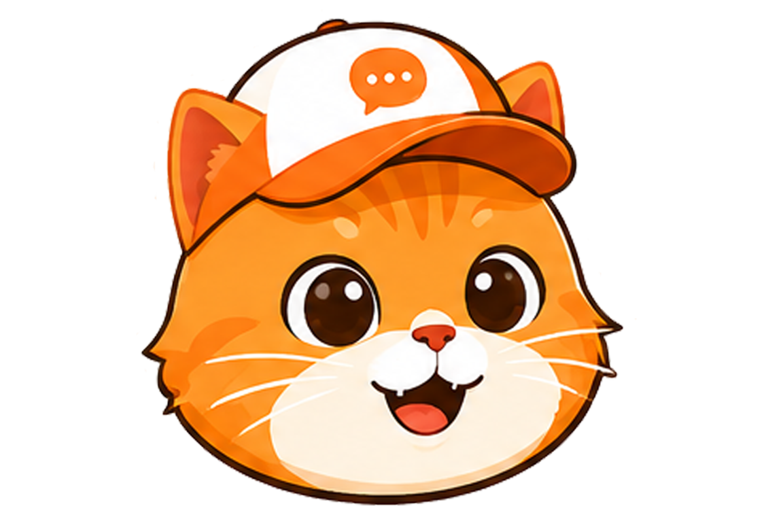 橘猫校园墙